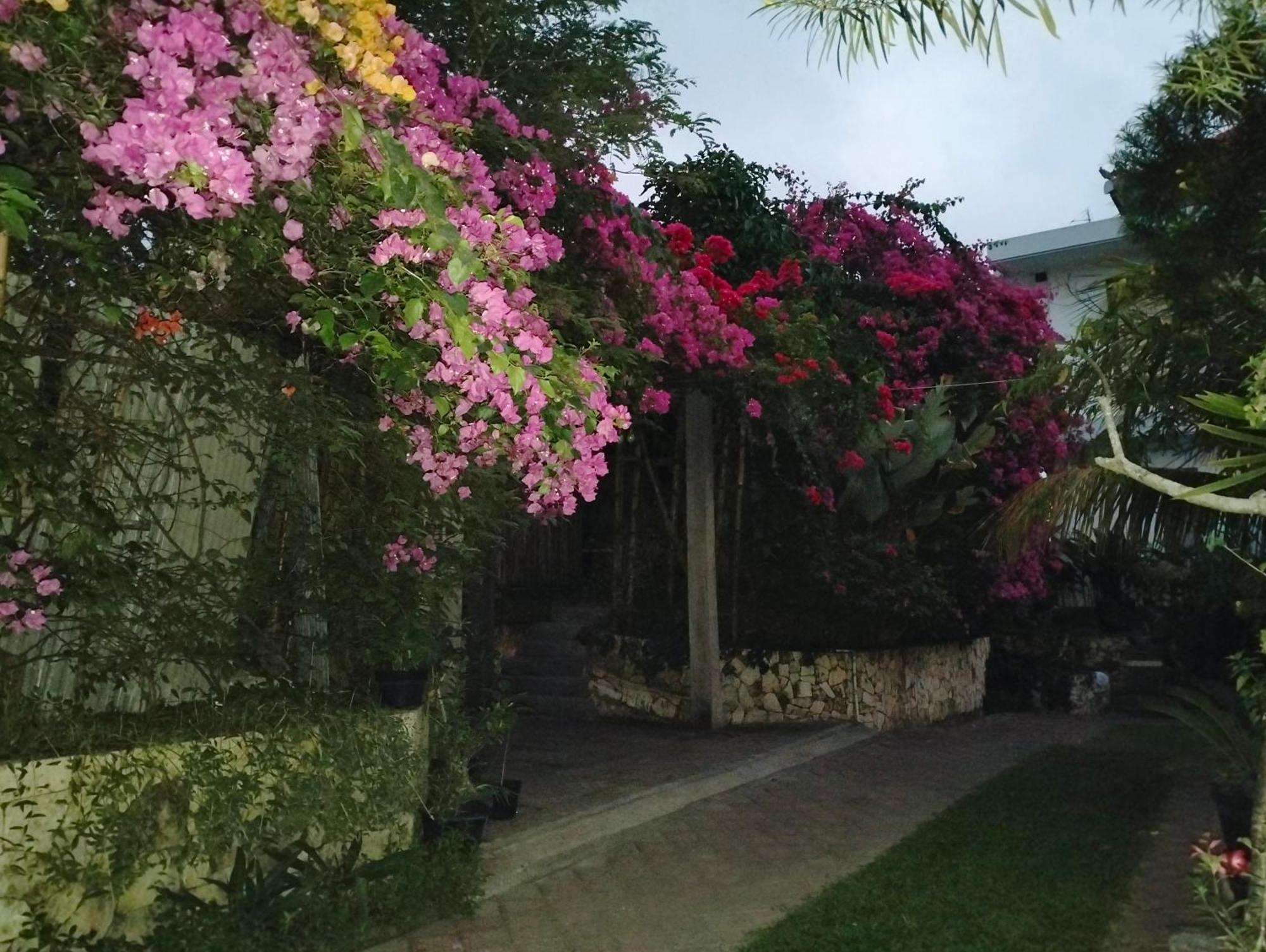 Mandox Villa Bali Ungasan Exteriér fotografie