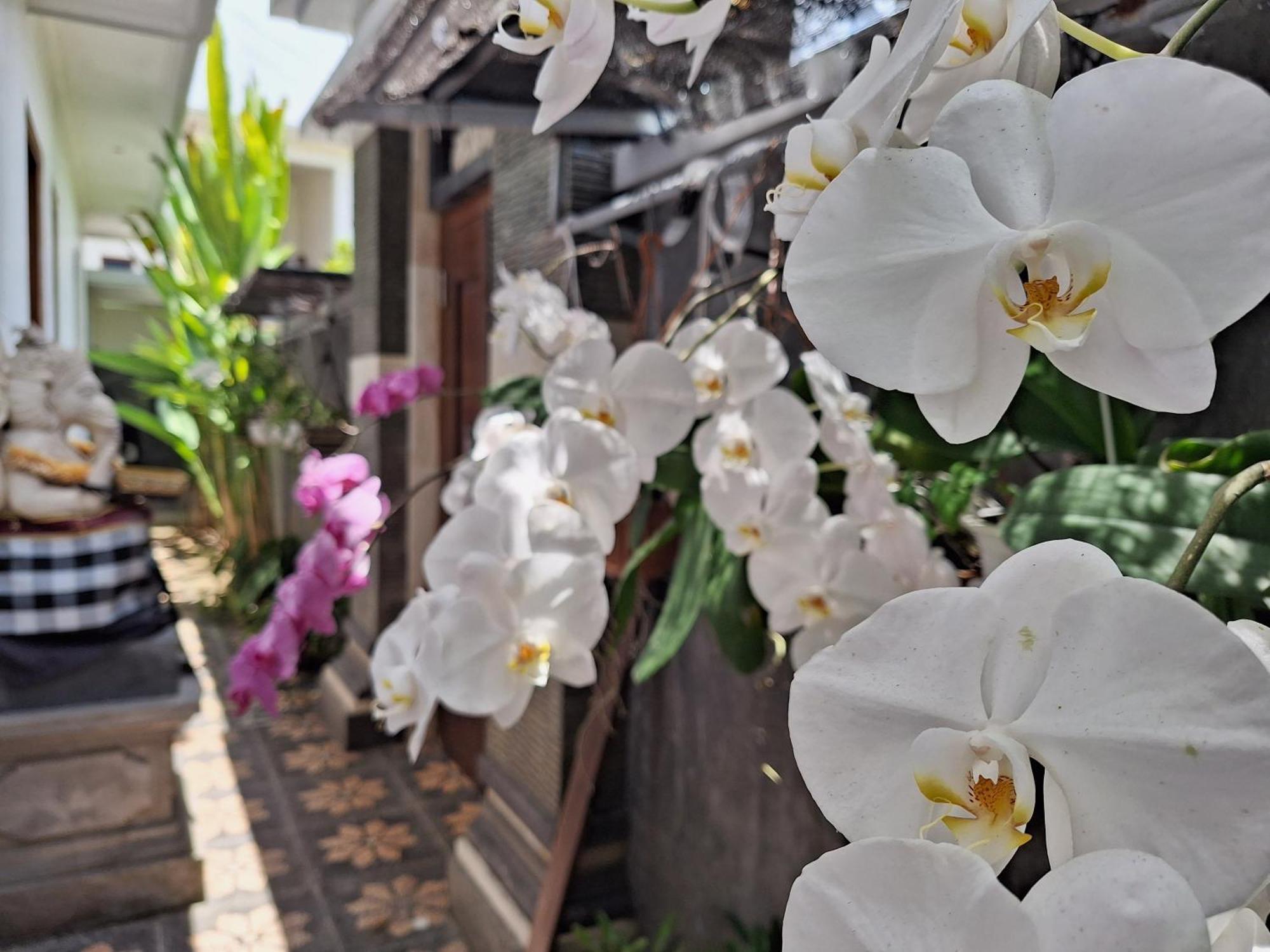Mandox Villa Bali Ungasan Exteriér fotografie