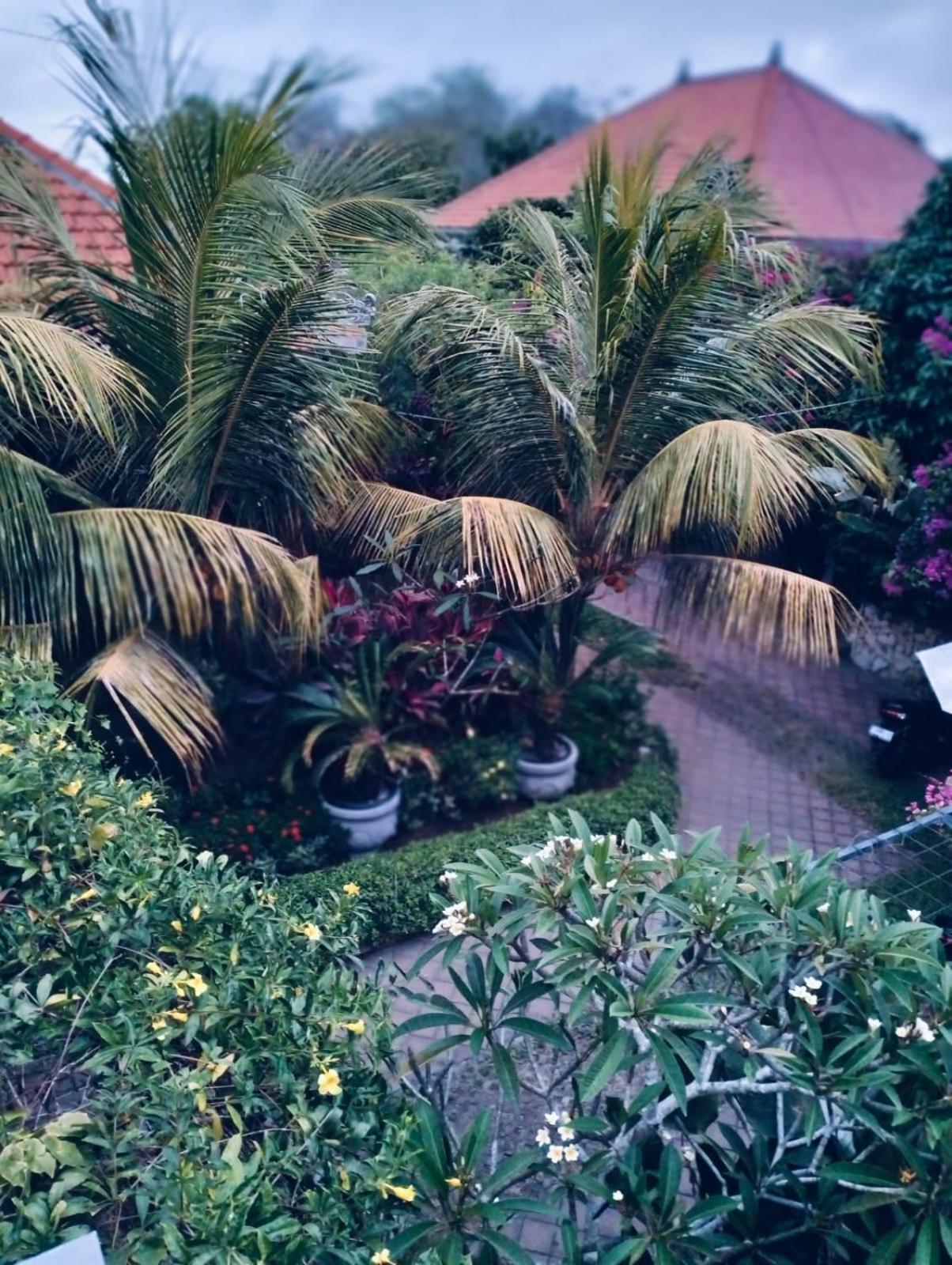 Mandox Villa Bali Ungasan Exteriér fotografie